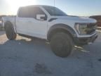 2023 Ford F150 Raptor