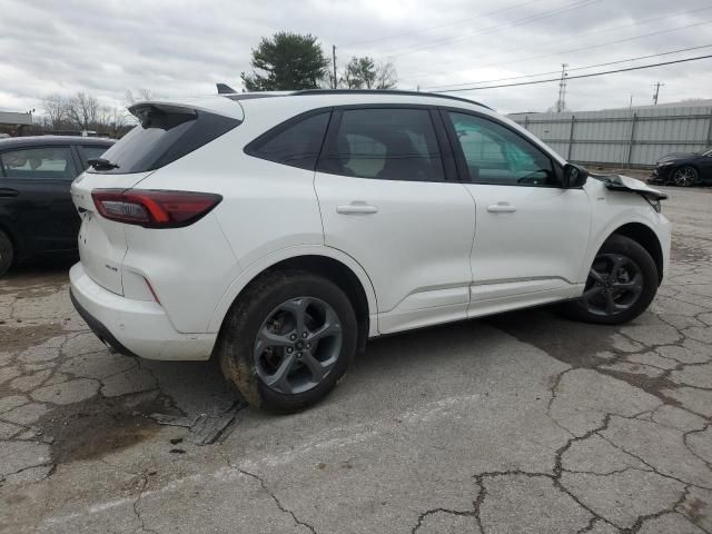 2024 Ford Escape ST Line