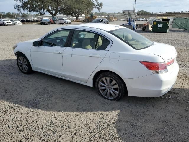 2011 Honda Accord EXL