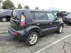 2010 KIA Soul +