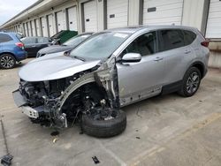 Salvage cars for sale from Copart Louisville, KY: 2021 Honda CR-V EXL