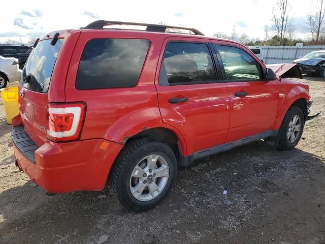 2009 Ford Escape XLT