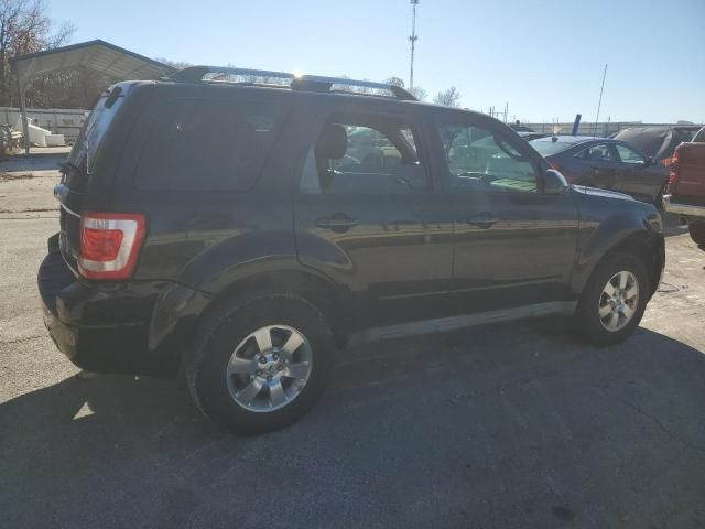 2011 Ford Escape Limited