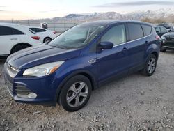 Ford Vehiculos salvage en venta: 2014 Ford Escape SE