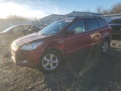 Salvage cars for sale from Copart Albany, NY: 2013 Ford Escape SE