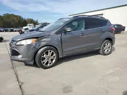 Salvage cars for sale at Gaston, SC auction: 2013 Ford Escape SEL