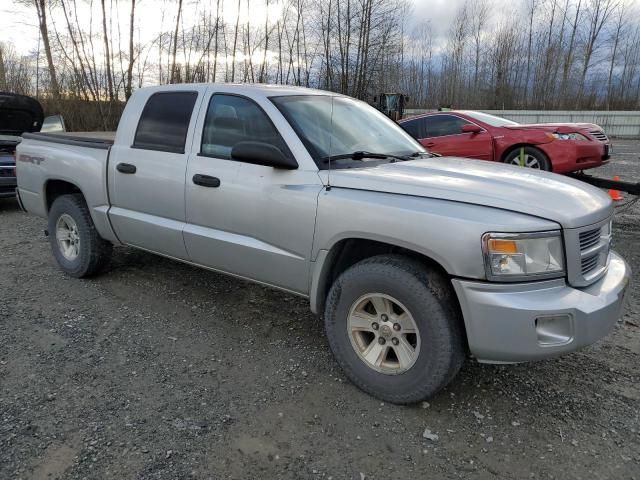 2008 Dodge Dakota SXT