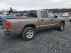 2010 Dodge Dakota SXT