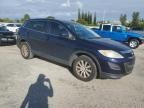 2010 Mazda CX-9