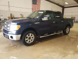 Salvage cars for sale from Copart San Antonio, TX: 2014 Ford F150 Supercrew