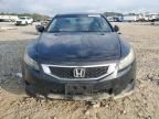 2010 Honda Accord EX