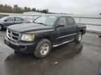 2008 Dodge Dakota Quad SLT