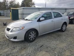 Toyota salvage cars for sale: 2010 Toyota Corolla Base