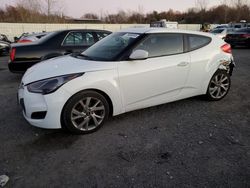 Salvage cars for sale at Assonet, MA auction: 2016 Hyundai Veloster