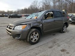 Salvage cars for sale at Ellwood City, PA auction: 2010 Toyota Rav4