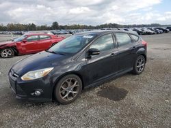 Ford Vehiculos salvage en venta: 2014 Ford Focus SE