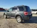 2008 Ford Escape HEV