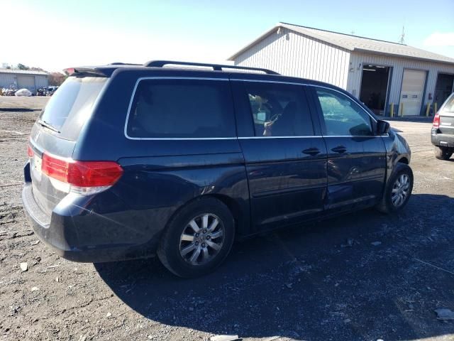 2010 Honda Odyssey EXL