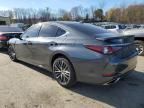 2023 Lexus ES 350 Base