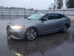 Nissan Maxima salvage cars for sale: 2019 Nissan Maxima S