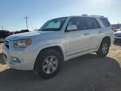 Salvage cars for sale at Andrews, TX auction: 2011 Toyota 4runner SR5