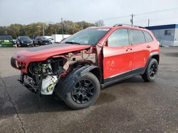 2019 Jeep Cherokee Trailhawk en venta en Ham Lake, MN