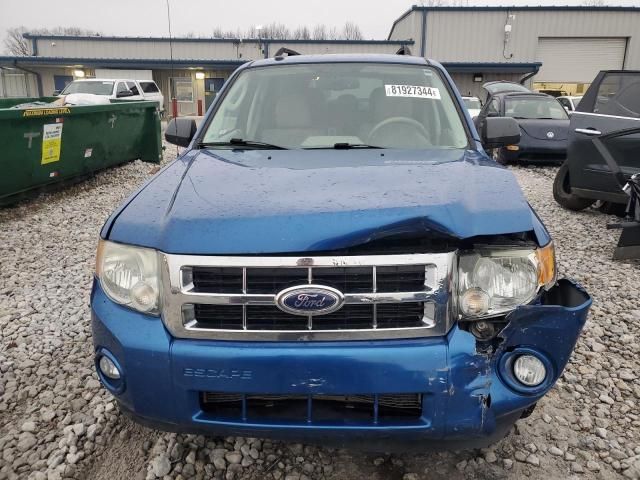 2011 Ford Escape XLT