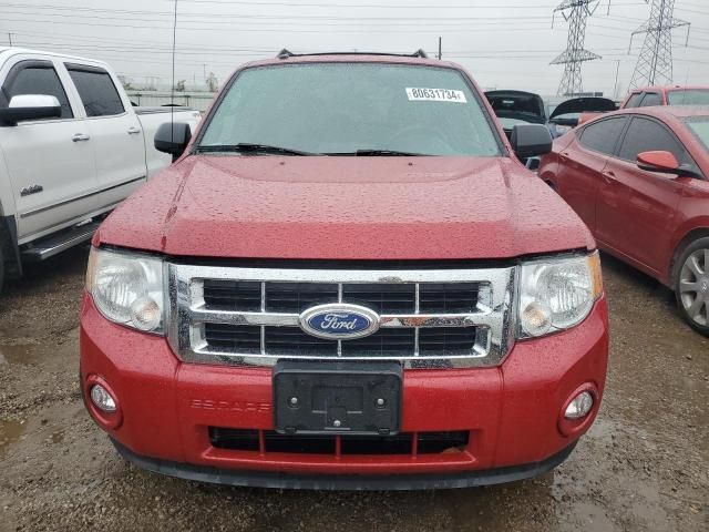 2011 Ford Escape XLT