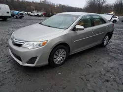 Salvage cars for sale at Marlboro, NY auction: 2013 Toyota Camry L