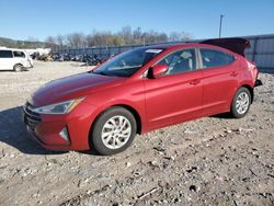 Salvage cars for sale at Lawrenceburg, KY auction: 2019 Hyundai Elantra SE