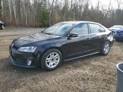 Salvage cars for sale at Cookstown, ON auction: 2014 Volkswagen Jetta GLI