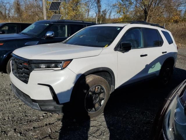 2024 Honda Pilot Trailsport