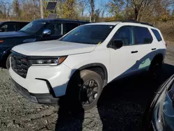 Honda Vehiculos salvage en venta: 2024 Honda Pilot Trailsport