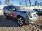 2020 Cadillac Escalade Premium Luxury