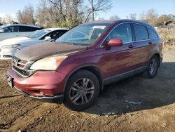 Honda Vehiculos salvage en venta: 2010 Honda CR-V EXL