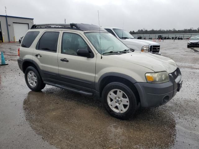 2005 Ford Escape XLT