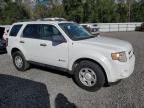 2009 Ford Escape Hybrid