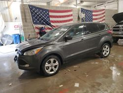 Salvage cars for sale at Columbia, MO auction: 2016 Ford Escape SE