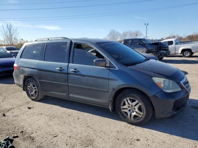 2005 Honda Odyssey EXL