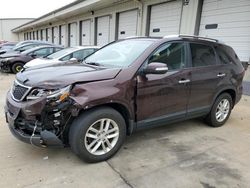 Salvage cars for sale at Louisville, KY auction: 2014 KIA Sorento LX