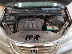 2008 Honda Odyssey EXL