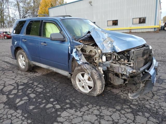 2009 Ford Escape XLT