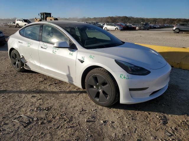 2021 Tesla Model 3