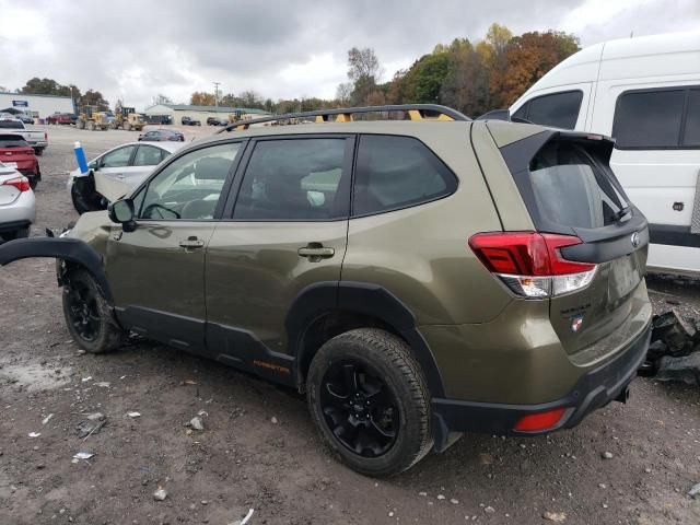 2024 Subaru Forester Wilderness