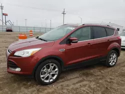 2014 Ford Escape Titanium en venta en Greenwood, NE