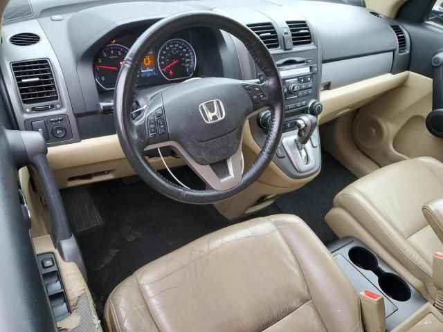 2010 Honda CR-V EXL