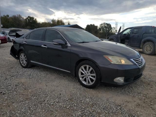 2010 Lexus ES 350