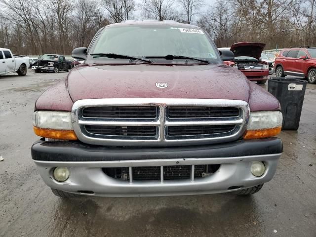 2003 Dodge Dakota SLT