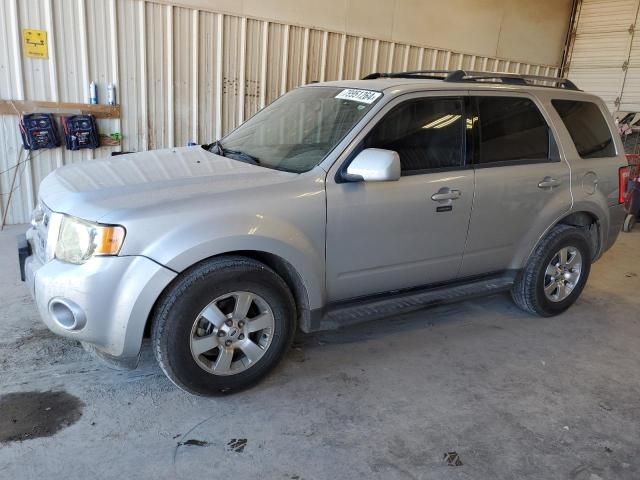 2009 Ford Escape Limited