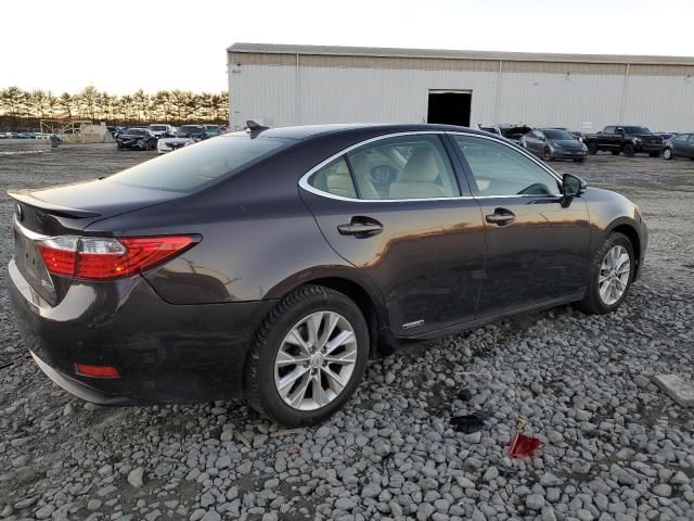 2013 Lexus ES 300H